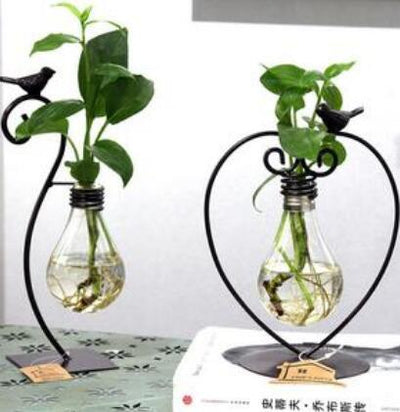 Hydroponic Plant Vessel Indoor Green Plants Glass Planter Pot with Steel Stand - Antique Decore