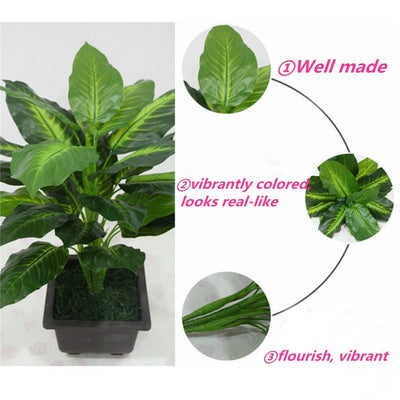 Simulation plant Dieffenbachia - Antique Decore