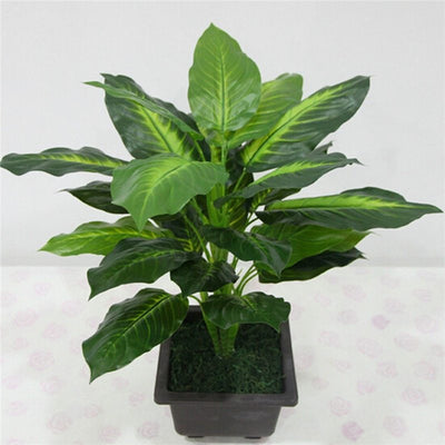 Simulation plant Dieffenbachia - Antique Decore