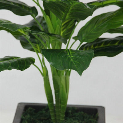 Simulation plant Dieffenbachia - Antique Decore