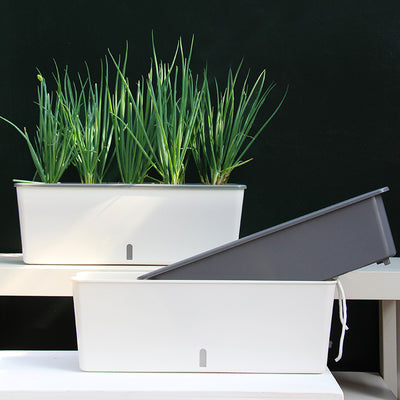 Self-Watering Planter Pots - Antique Decore