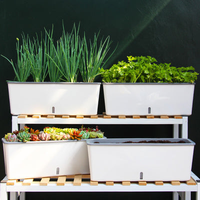 Self-Watering Planter Pots - Antique Decore