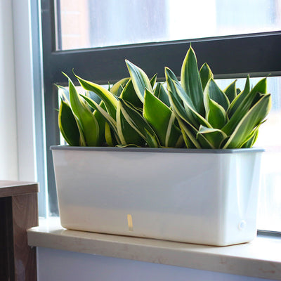 Self-Watering Planter Pots - Antique Decore