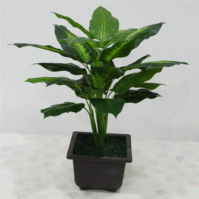 Simulation plant Dieffenbachia - Antique Decore