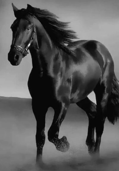 Art Canvas Animal Dark Horse Wall Art Living Room Home Decor - Antique Decore