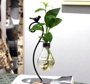 Hydroponic Plant Vessel Indoor Green Plants Glass Planter Pot with Steel Stand - Antique Decore
