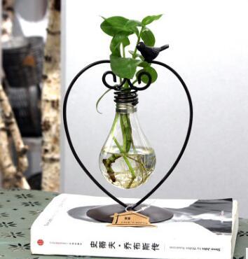 Hydroponic Plant Vessel Indoor Green Plants Glass Planter Pot with Steel Stand - Antique Decore