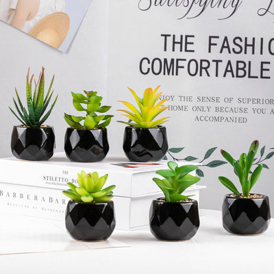 Artificial Green Plant Succulent Artificial Plant Home Furnishings - Antique Decore