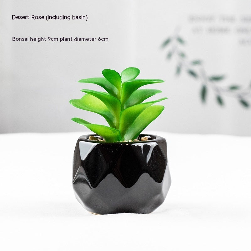 Artificial Green Plant Succulent Artificial Plant Home Furnishings - Antique Decore